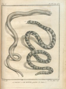 AG100_0640