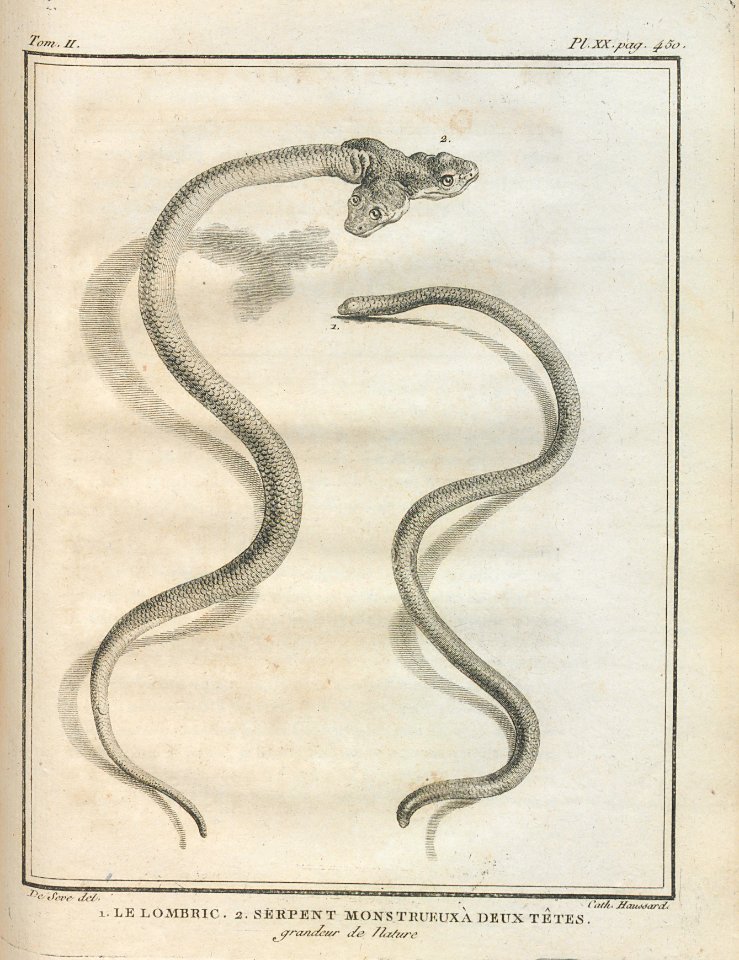 AG100_0662