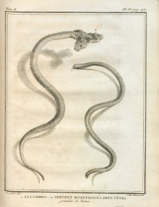 AG100_0662