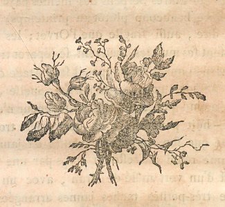 AG100_0659