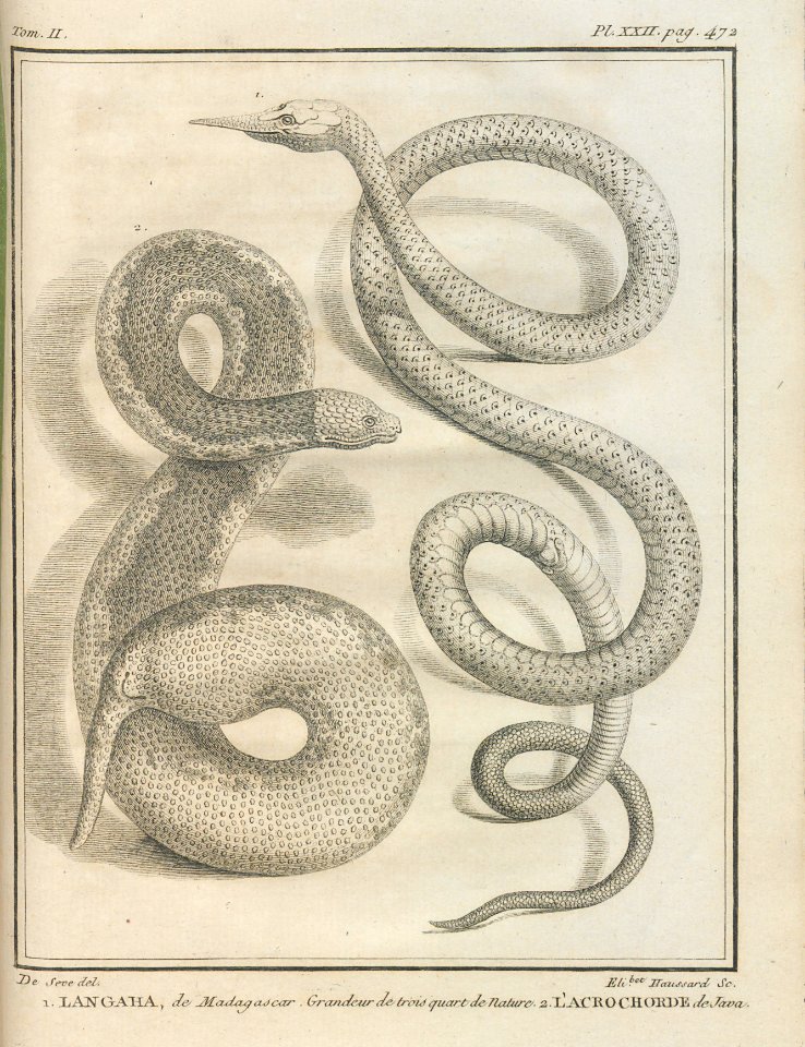 AG100_0688