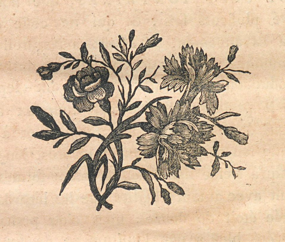 AG100_0709