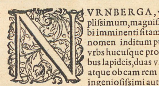 ARes73112v1_0185