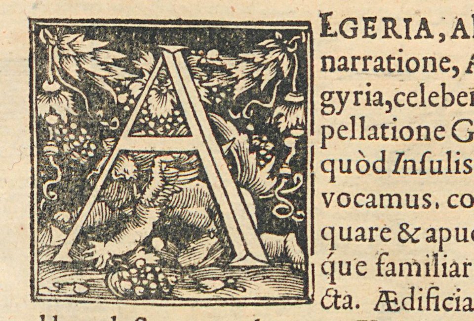ARes73112v1_0249