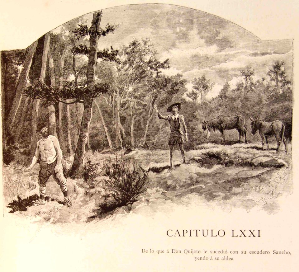 202_292_quijote_cap71