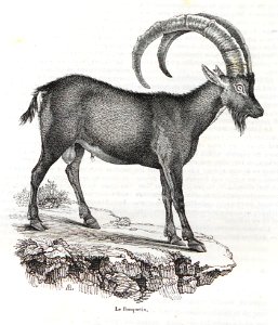 AI123_0649
