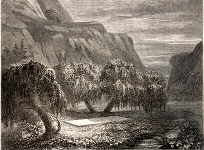 "Santa Elena, 5 de mayo de 1821".