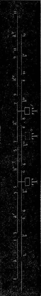 A060289025_0197