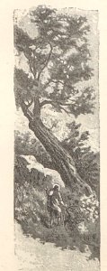 A044128_0617