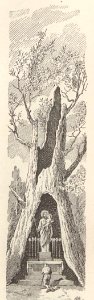 A044128_0747