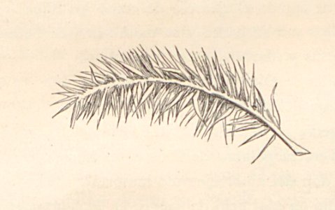 A044128_0765