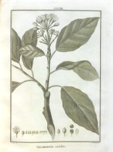 A064102_0306