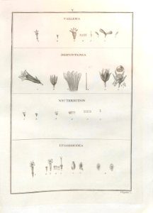 A064103_0192