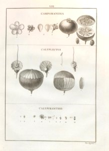 A064103_0206