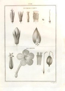 A064103_0216