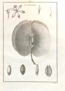 A064103_0220