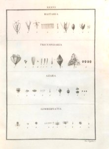 A064103_0252