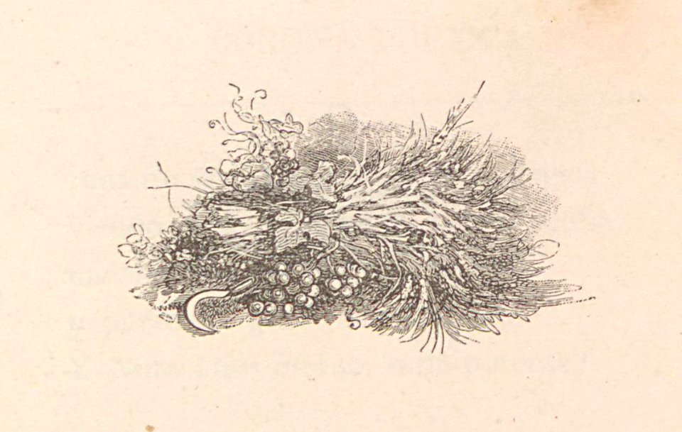 A044128_0830