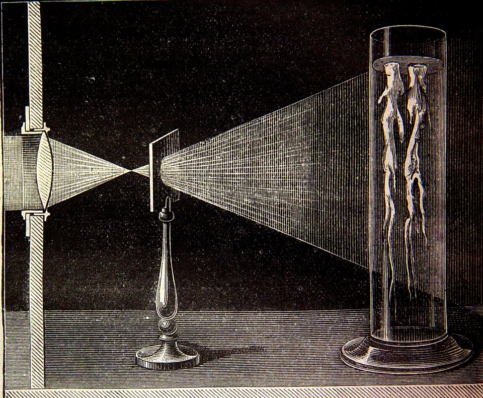 "Fluorescencia de la esculina".