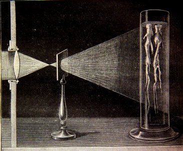 "Fluorescencia de la esculina".