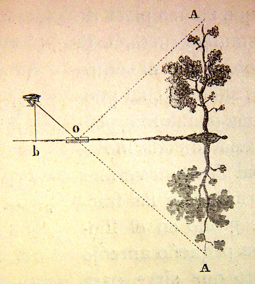 "Medición de la altura vertical de un objeto".