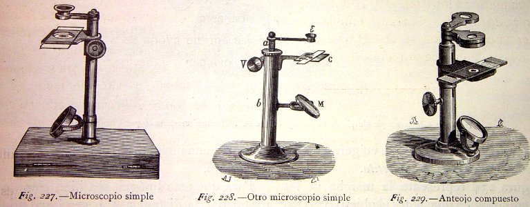 "227. Microscopio simple. 228. Otro microscopio simple 229…. Free illustration for personal and commercial use.