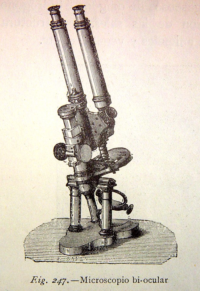 "Microscopio bi-ocular".