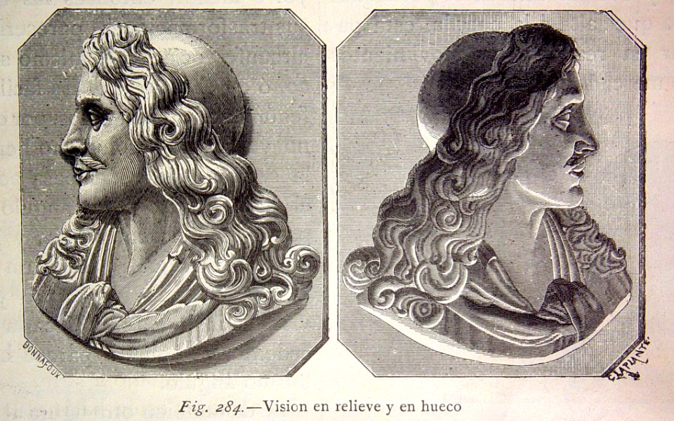 "Visión en relieve y en hueco".