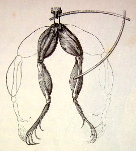 106071