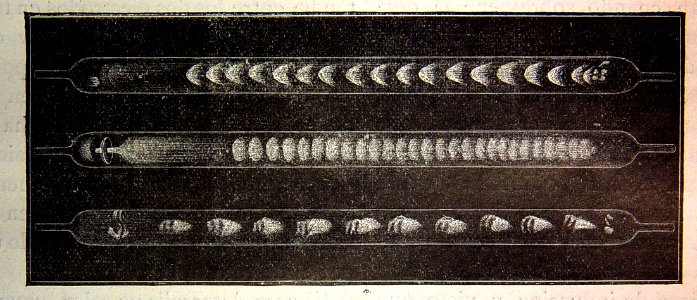 "Estrías observadas por Warren de la Rue en los tubos de g…