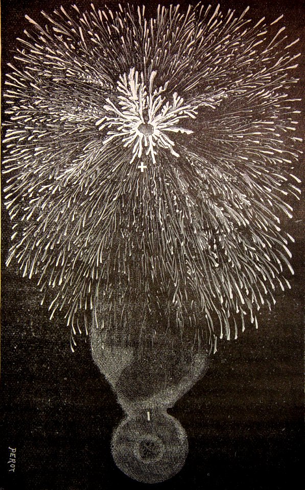 "Figura de Leichtenberg obtenida con la máquina reostática…