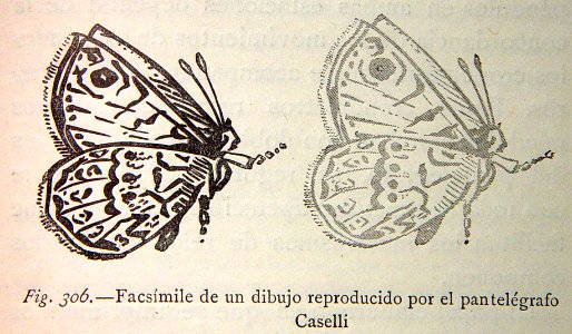 "Facsimile de un dibujo reproducido por el pantelégrafo Ca…
