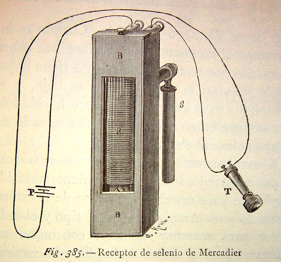 "Receptor de selenio de Mercadier".