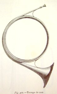 "Trompa de caza".