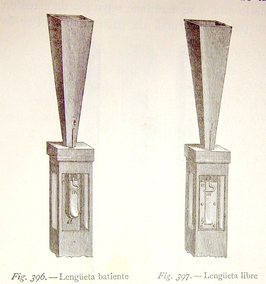 "Lengüeta batiente, Lengüeta libre".