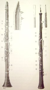 "Clarinete, sección de la boquilla. Oboe (boquilla vista d…