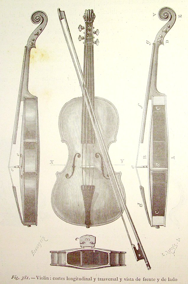 "Violín : cortes longitudinal y trasversal y vista de fren…