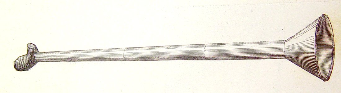 "Bocina o porta-voz".