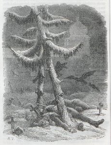 AX153_0363