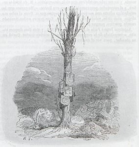 AX153_0383