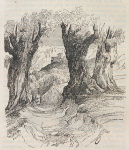AX154_0150