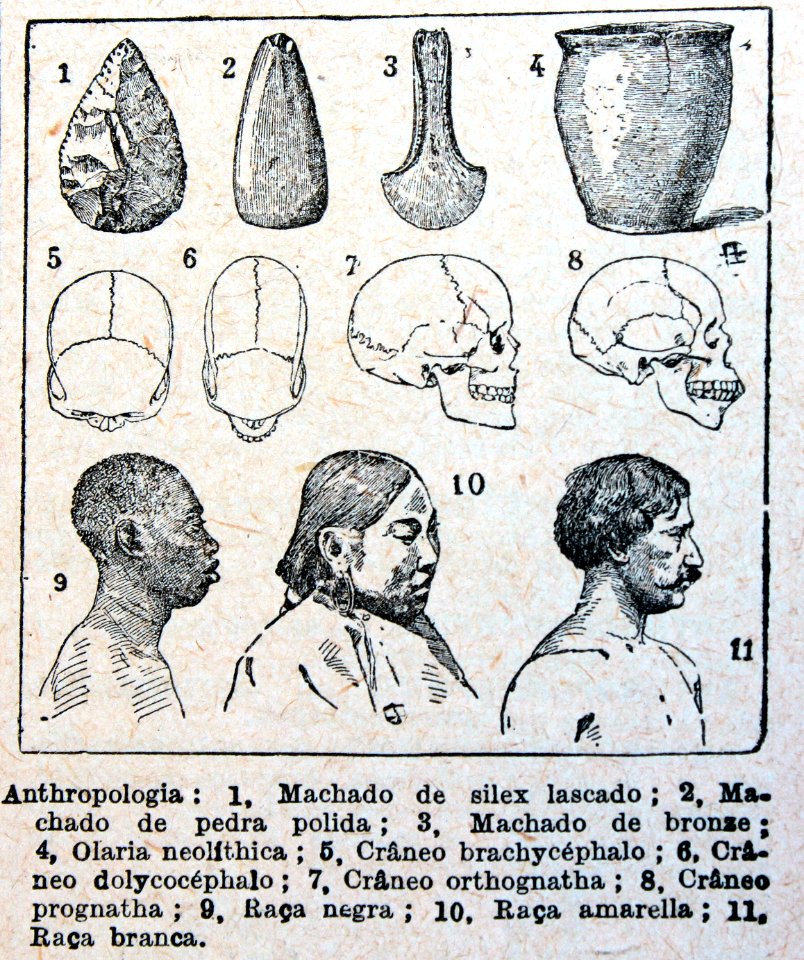 "Anthropologia"