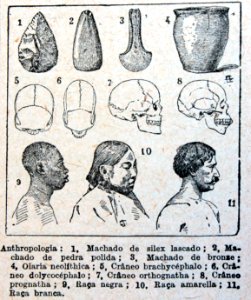 "Anthropologia"