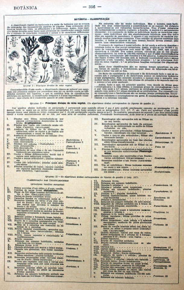 "Botánica".