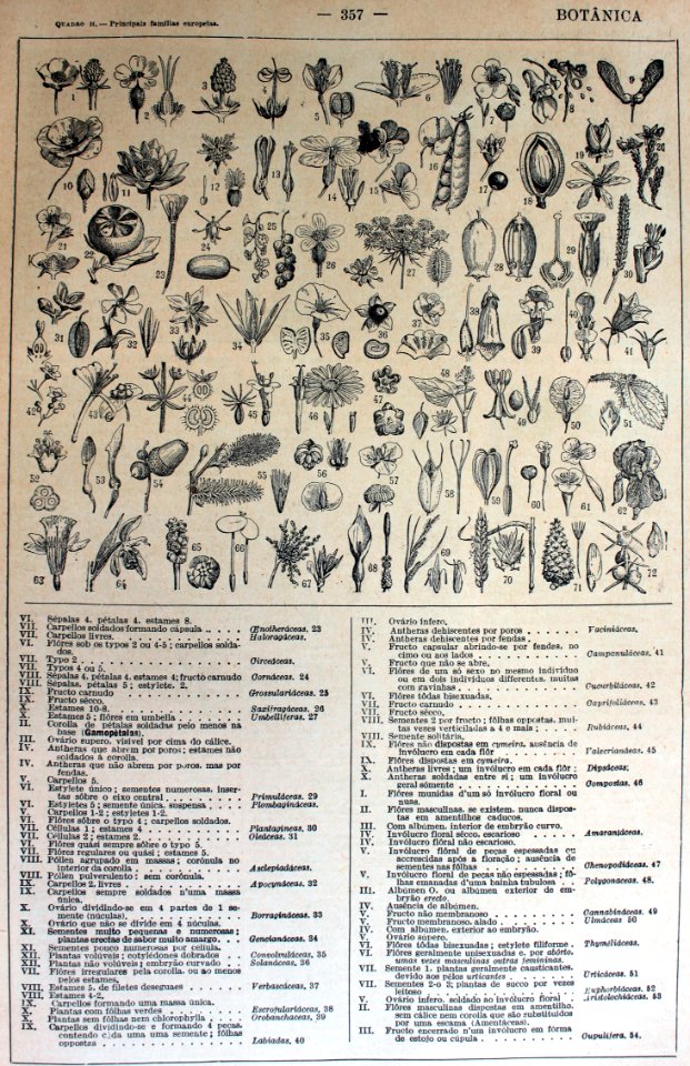 "Botânica".