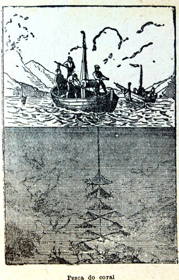"Pesca do coral".