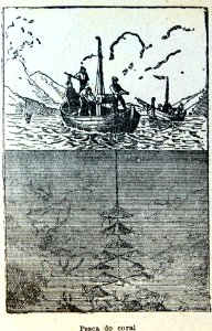 "Pesca do coral".