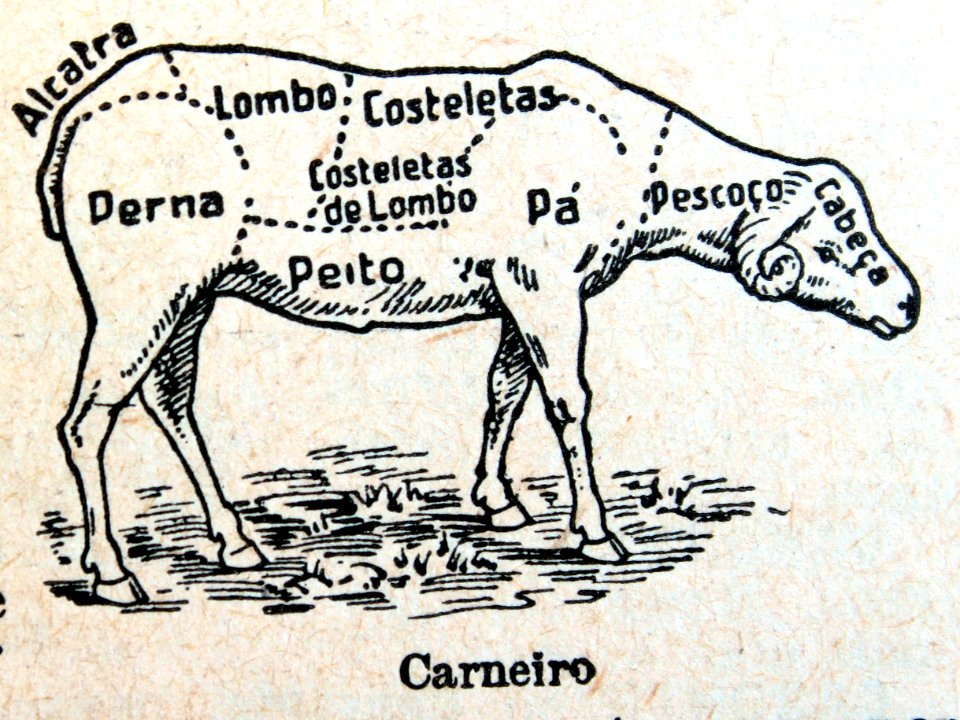 "Carneiro"
