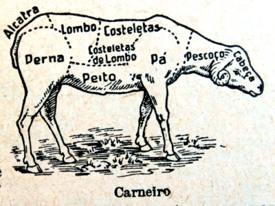 "Carneiro"