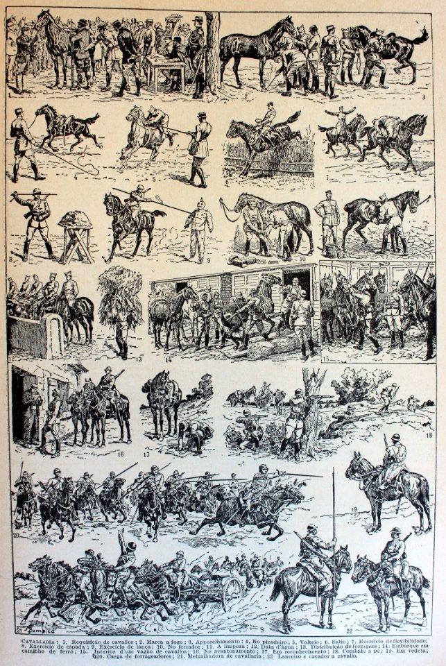 "Cavallaría"